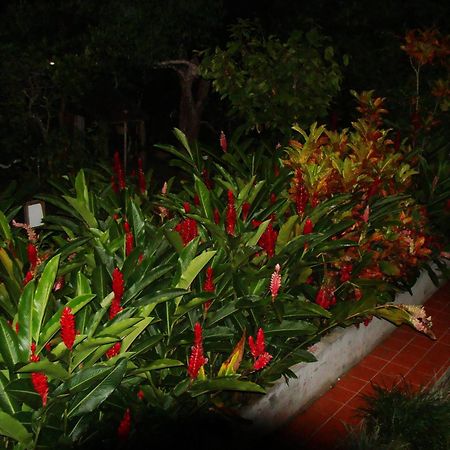 L'Ecomusee Creole De La Guadeloupe Sainte-Rose Luaran gambar