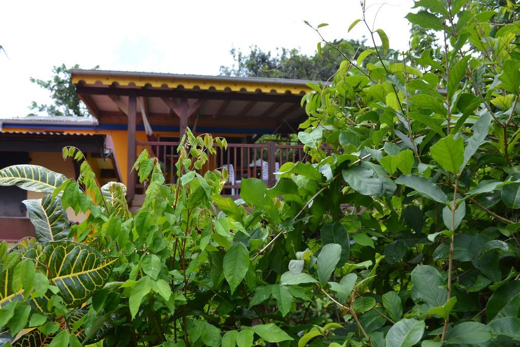 L'Ecomusee Creole De La Guadeloupe Sainte-Rose Luaran gambar